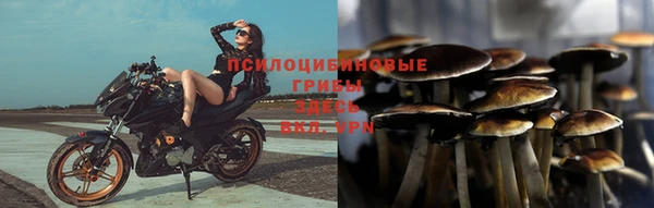 СК Навашино