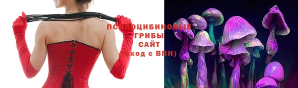 дурь Нея