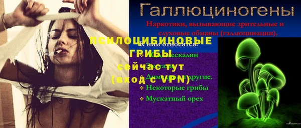 apvp Надым
