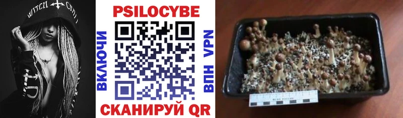 Галлюциногенные грибы ЛСД Очёр